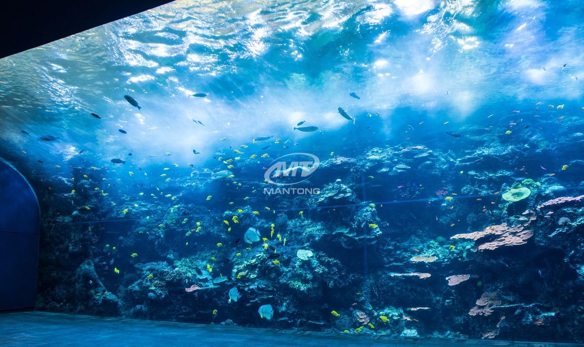 immerisve projection (8) immerisve projection (8)