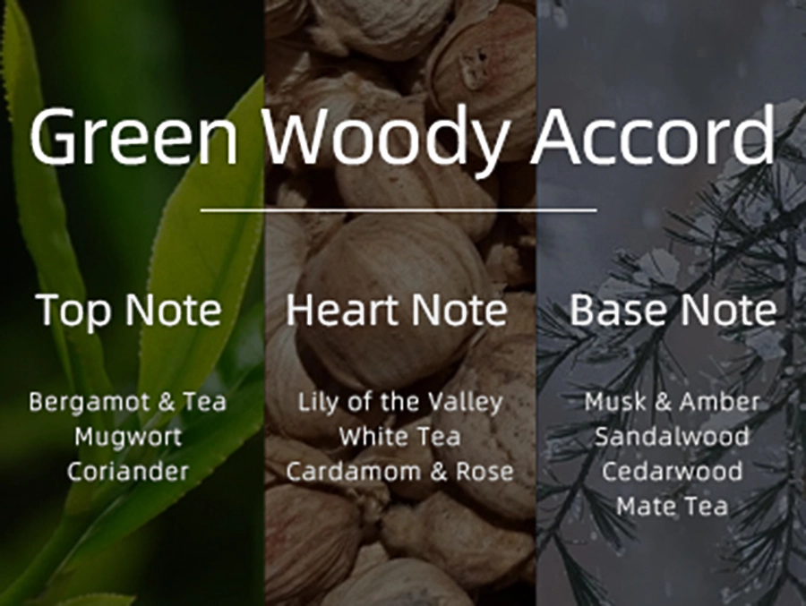 green woody - LAMJIE
