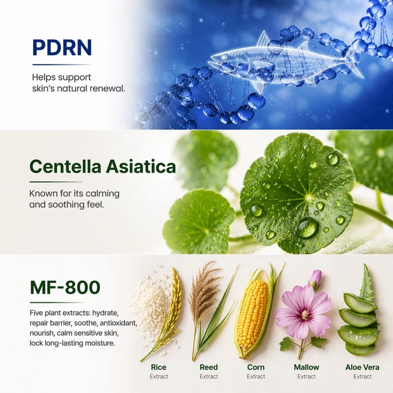 Private Label PDRN Redness Relief Serum with Centella Asiatica Soothing Repair Facial Serum for Sensitive Skin OEM ODM (4) - Beyond Basix