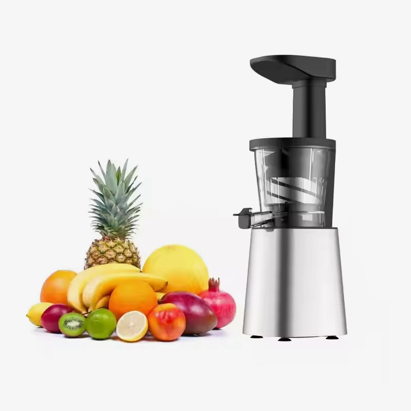 Slow Juicer