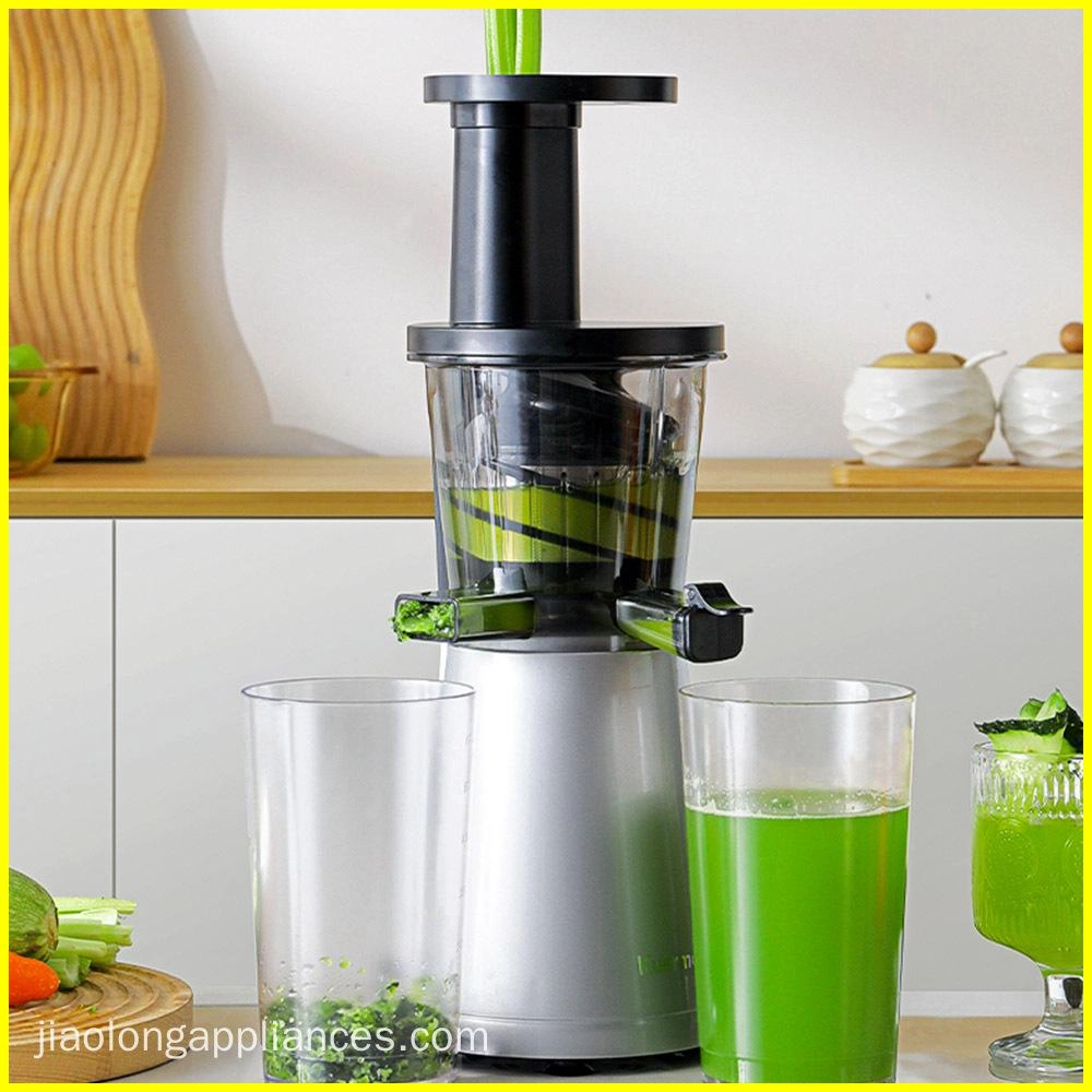 Slow-Juicer-L601-03 Slow Juicer L601-03