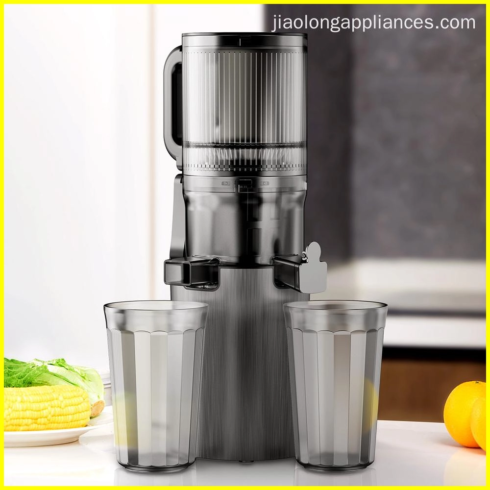 slow juicer L606A-02