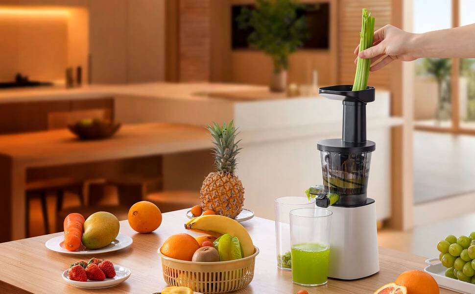 slow-juicer-price slow juicer price