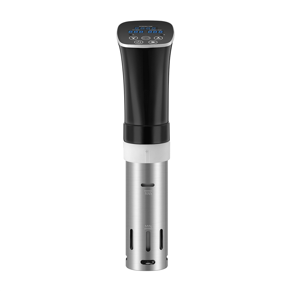 SV238A-04