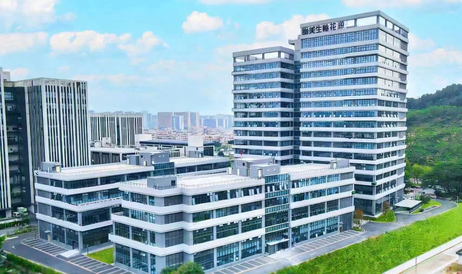 A New Beginning, Innovation Leading the Future - Colorful Light