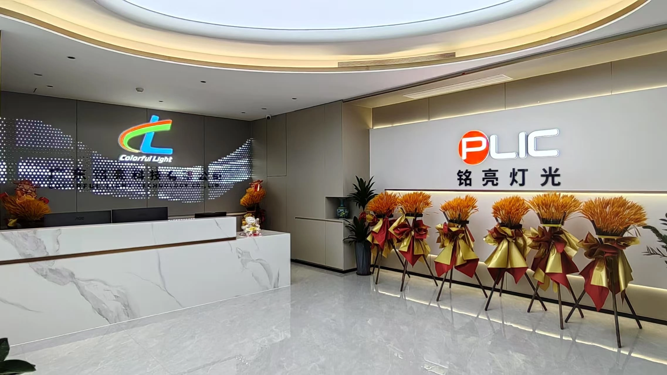 Front Desk - Colorful Light