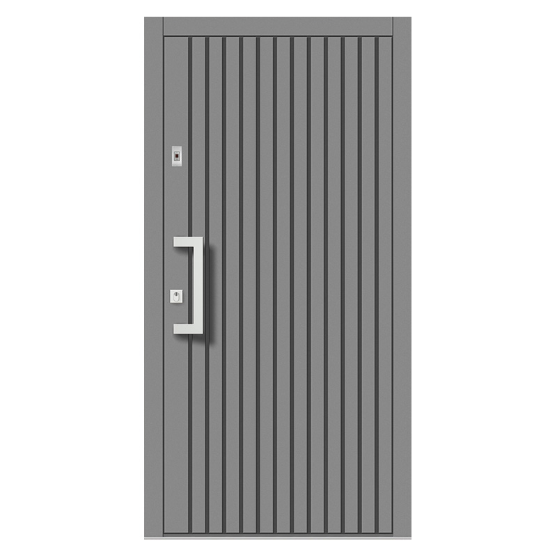 Plywood gray wooden door