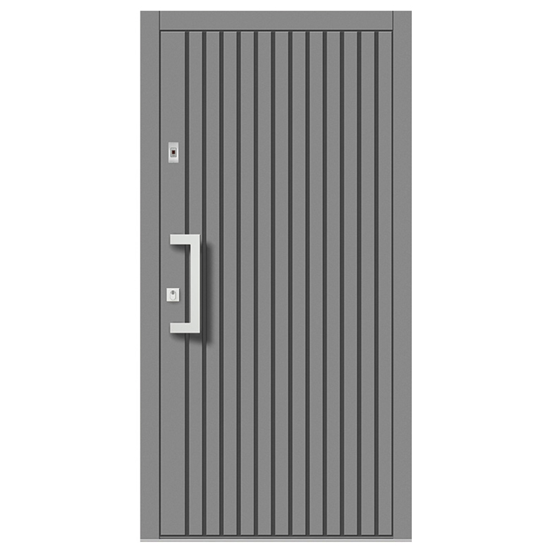 Interiro gray wooden door