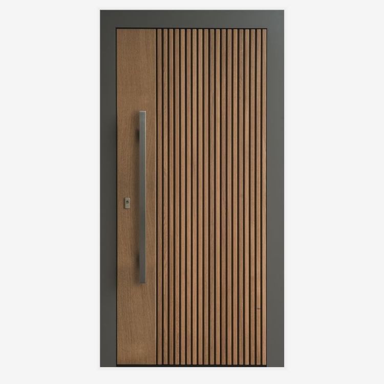 Modern wood door