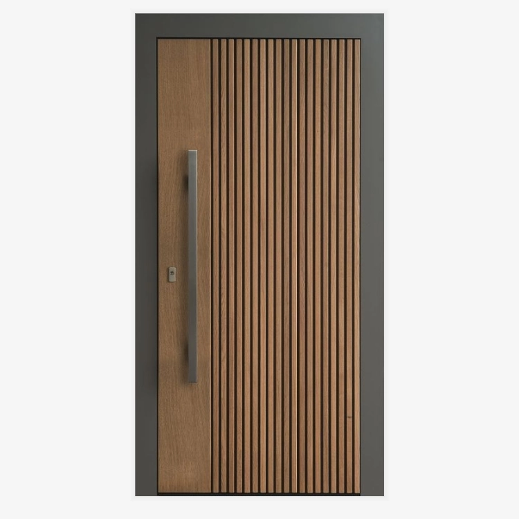 Modern wood door