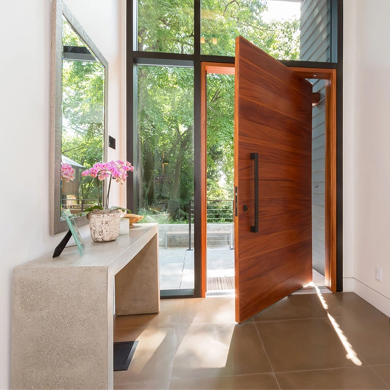 pivot door modern