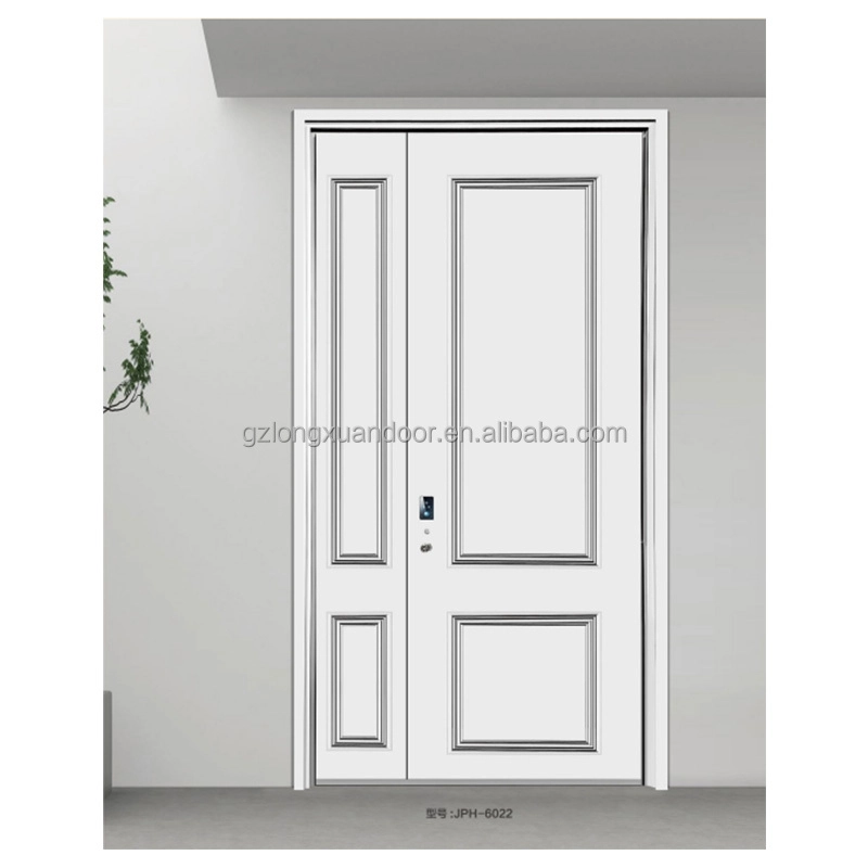 French metal door25