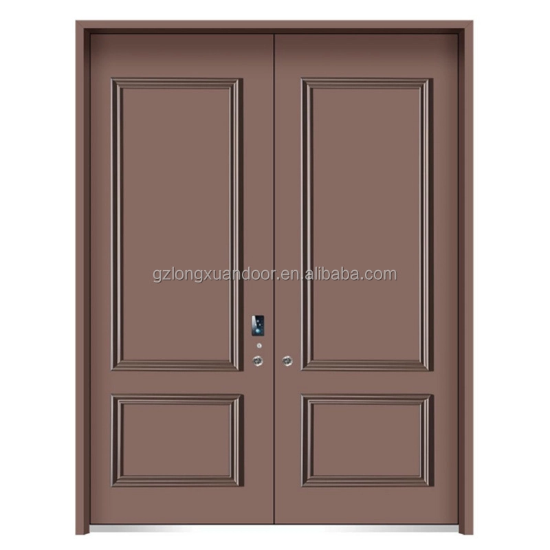 French metal door26