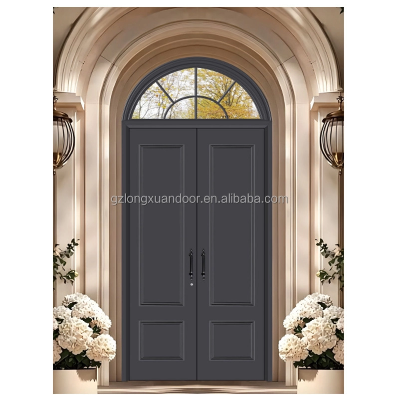 French metal door28