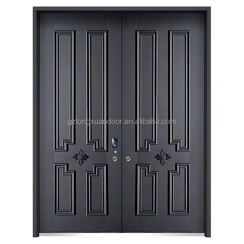 French metal door3 French metal door3