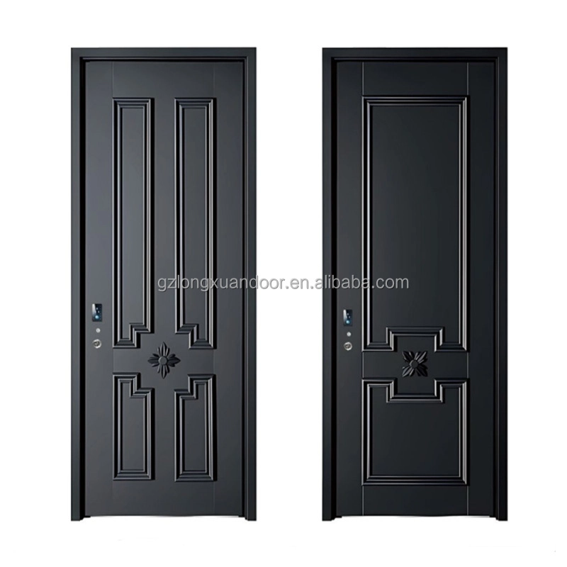 French metal door30