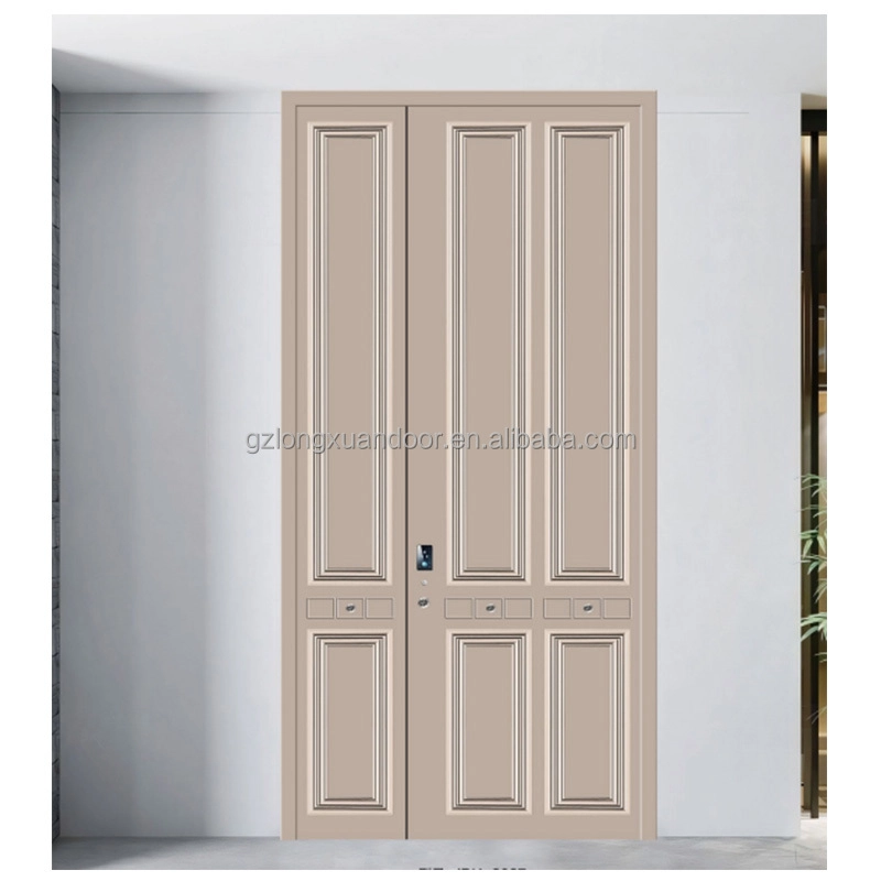 French metal door31