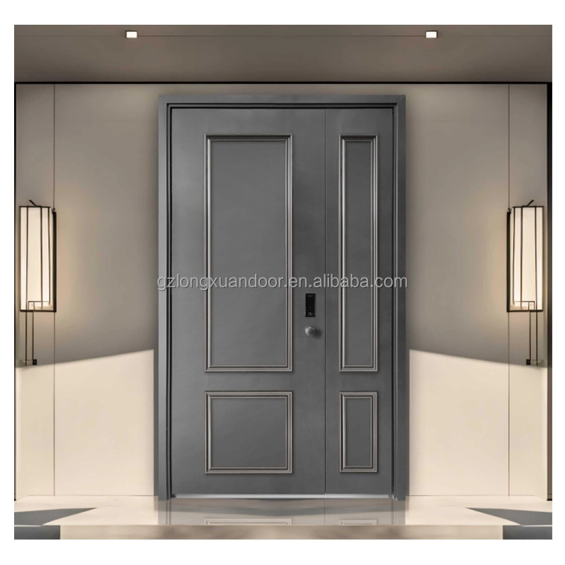 French metal door6