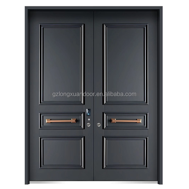 French metal door7
