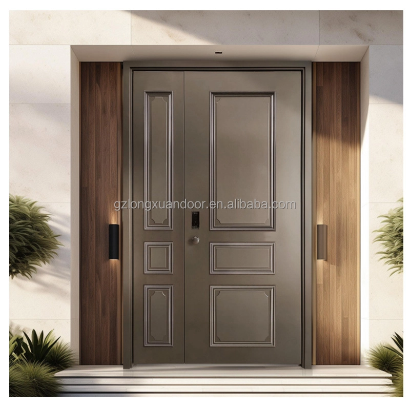 French metal door8