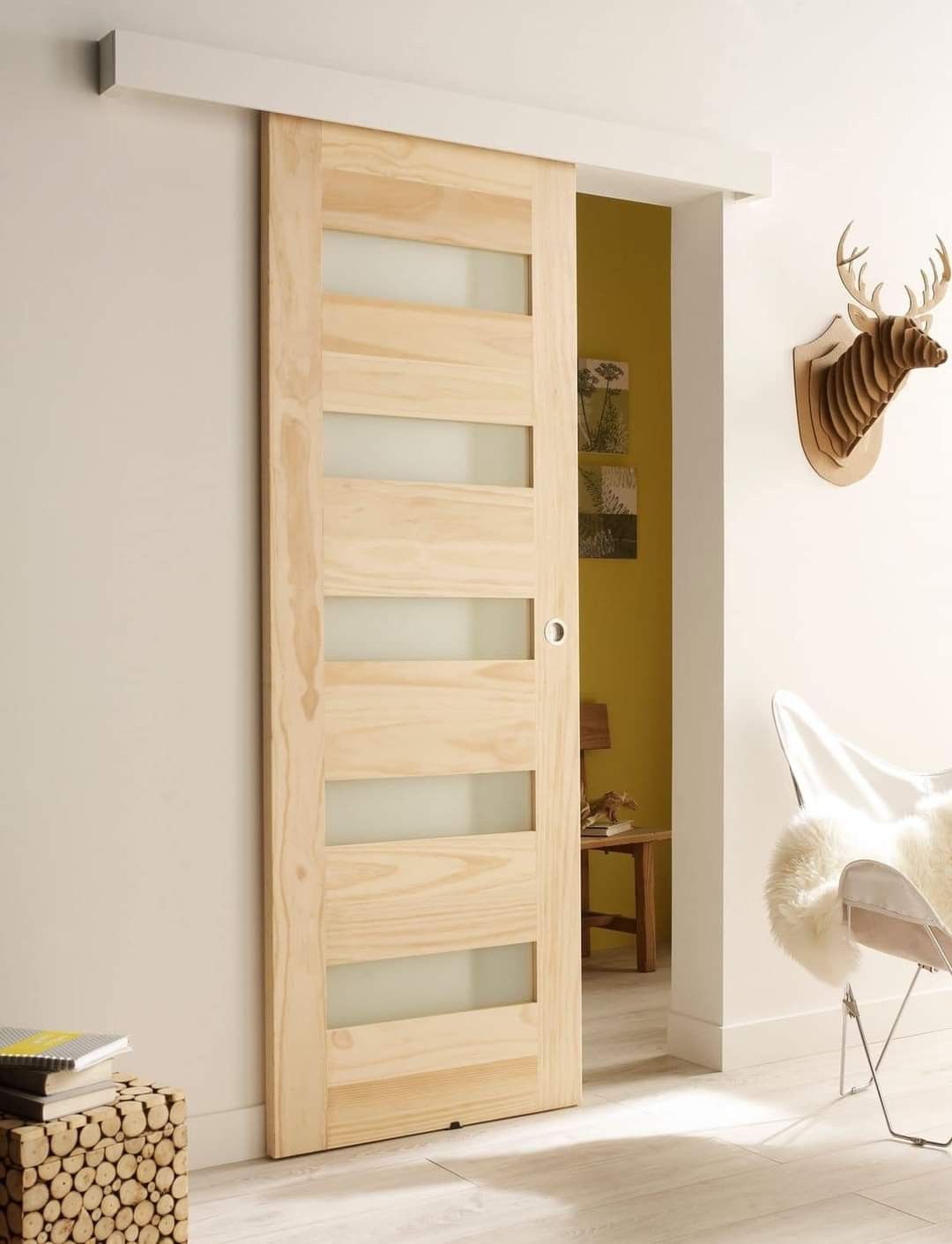 mirrored pocket door2