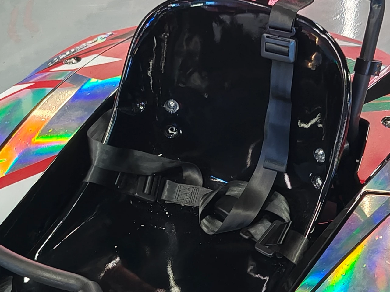 Four-point seat belt