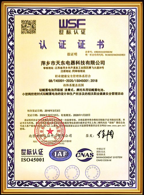 2.WSF-Certification