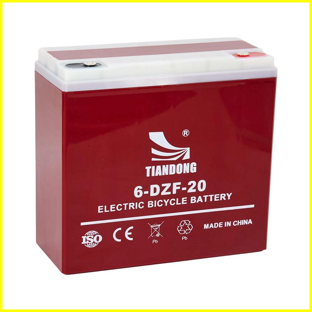 6-DZF-20 - TIANDONG