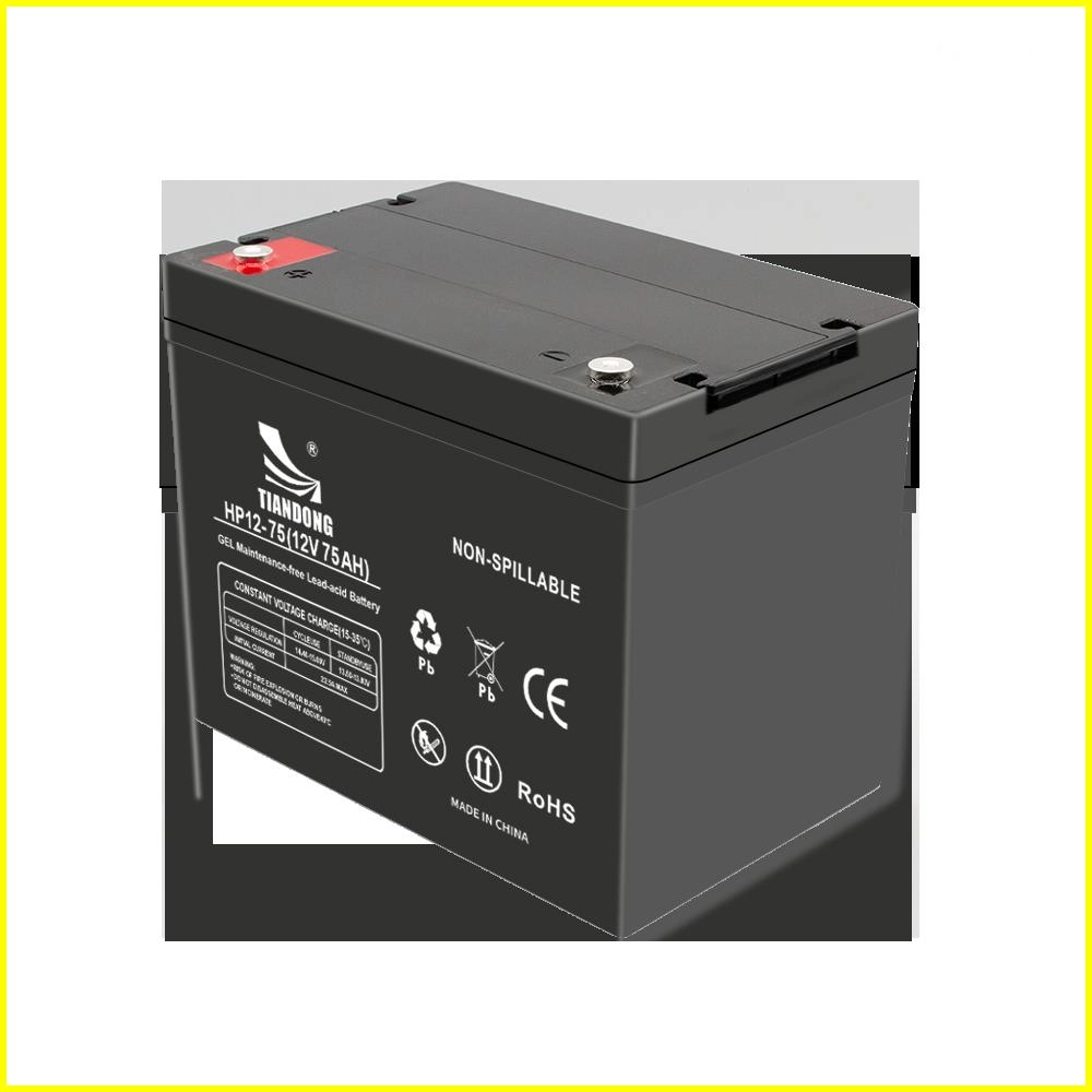 12V75AH左 - TIANDONG