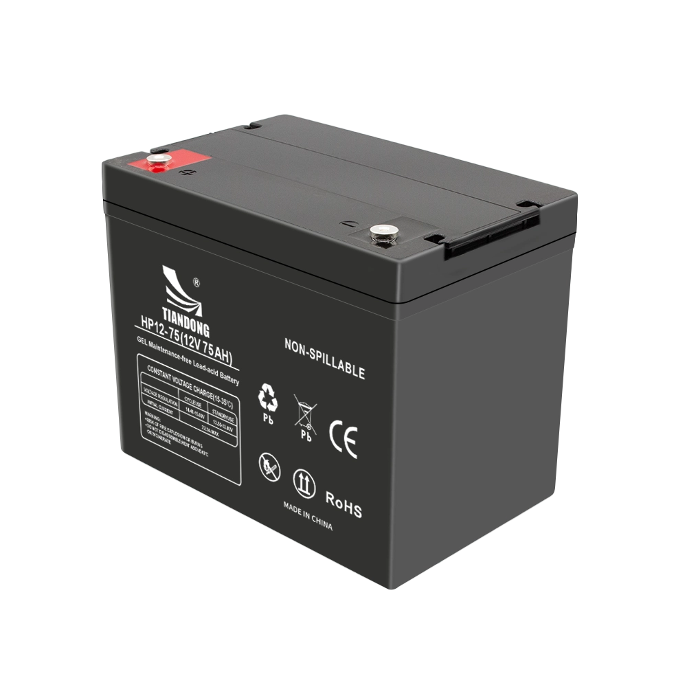 12V75AH左 - TIANDONG