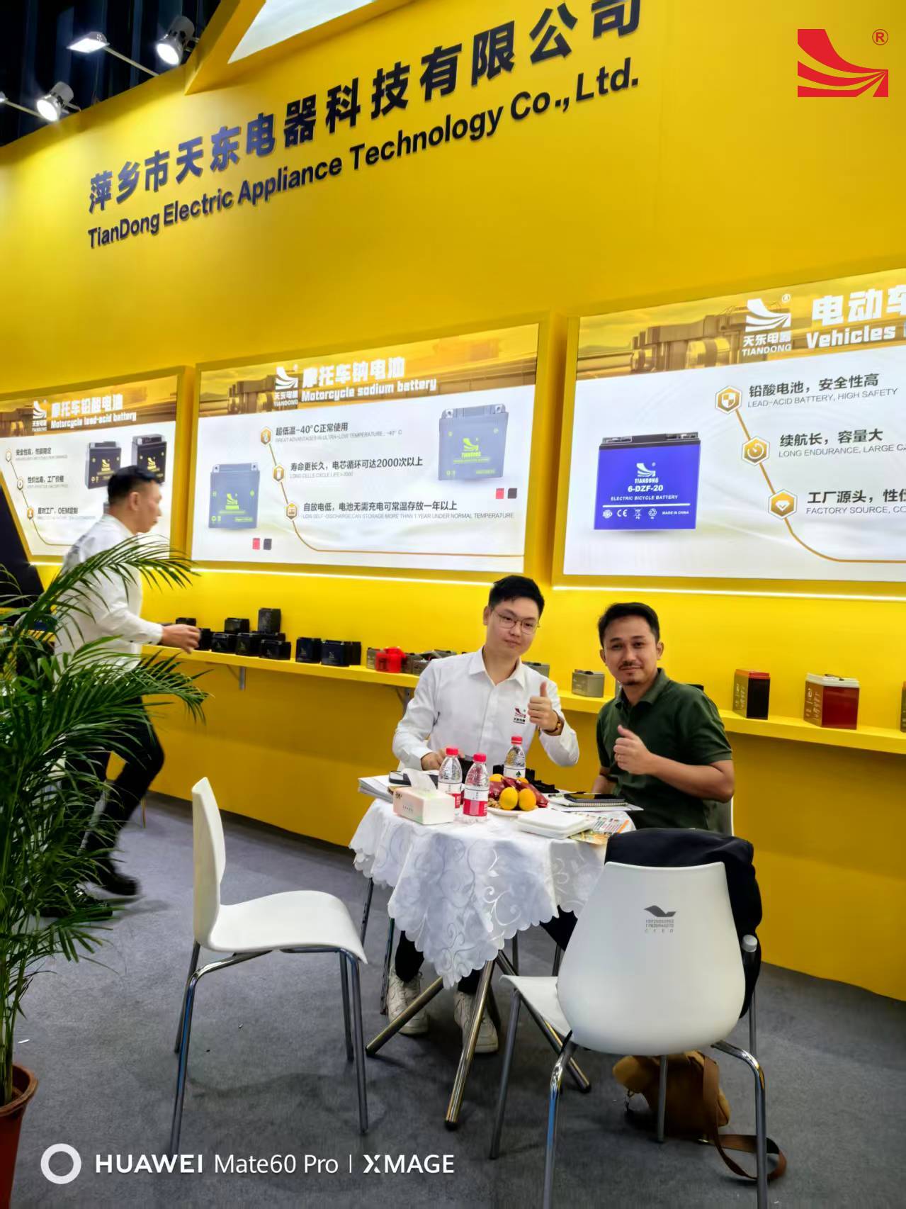 菲利斯4 菲利斯4