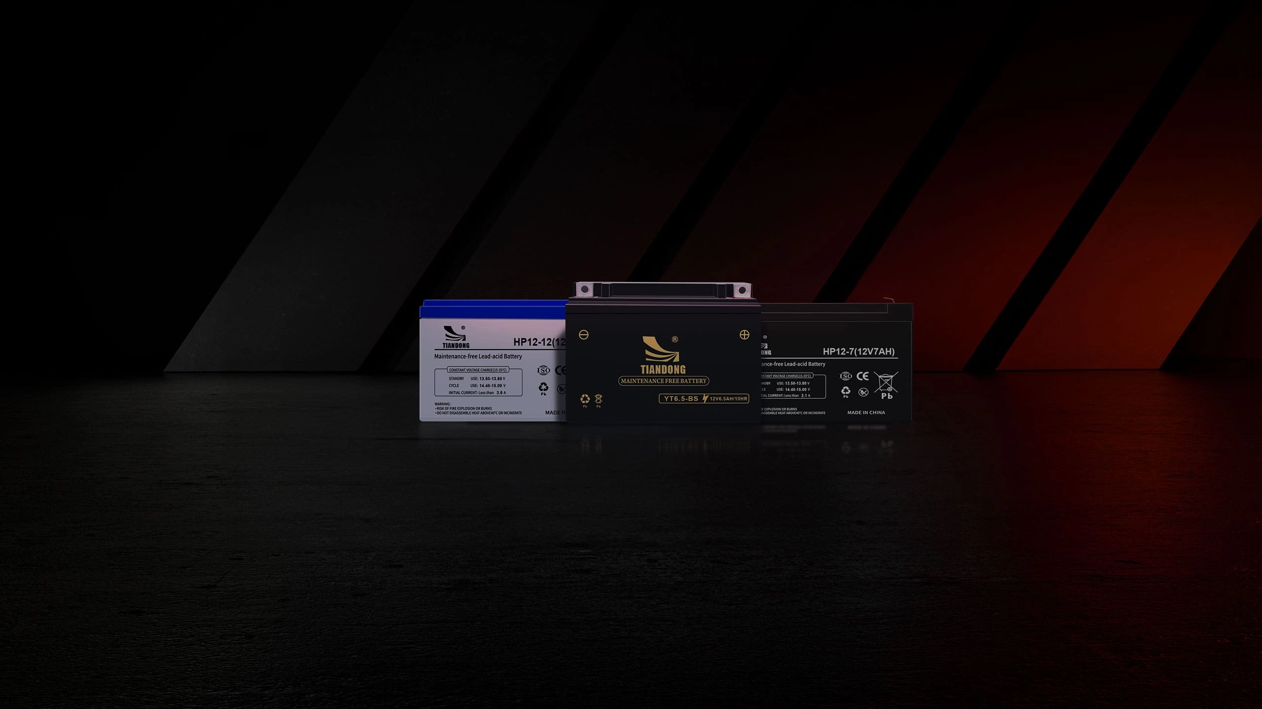 UPS  EPS Battery - TIANDONG