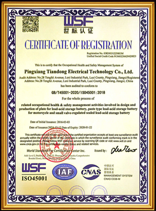 WSF-Certification--10