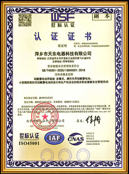 WSF-Certification--11