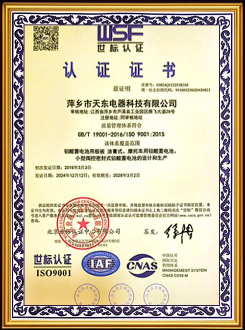 WSF-Certification--12