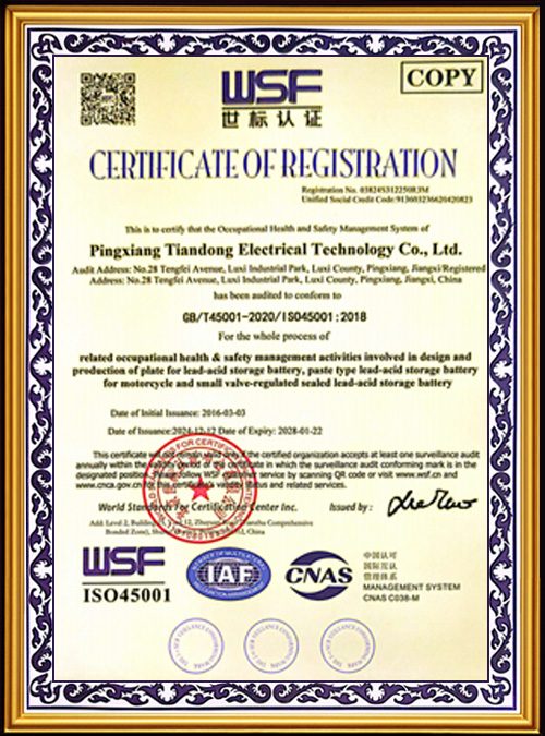 WSF-Certification--13