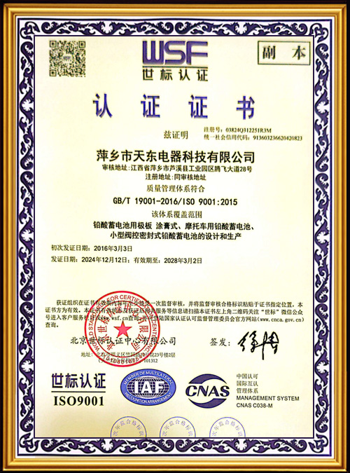 WSF-Certification--3