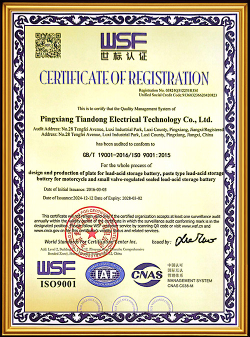 WSF-Certification--4