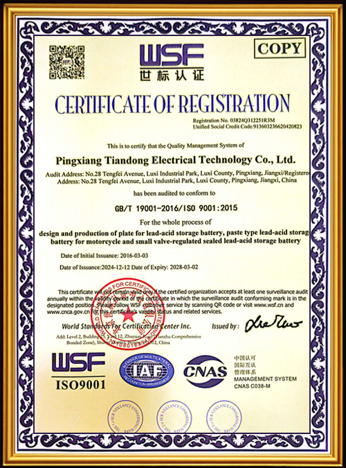 WSF-Certification--5