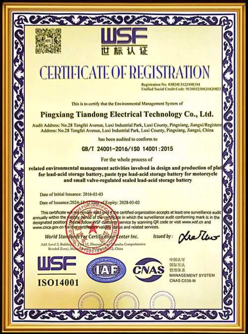 WSF-Certification--6
