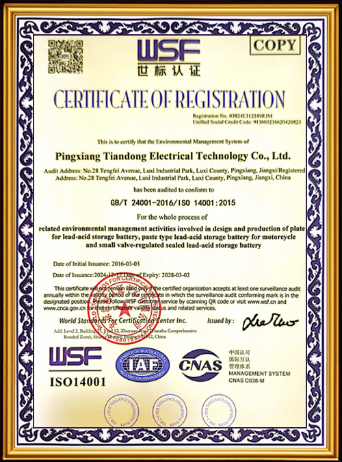 WSF-Certification--7