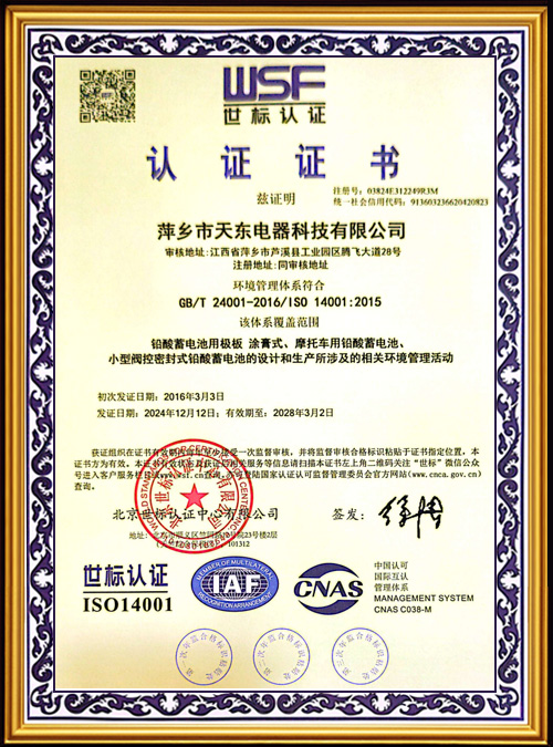 WSF-Certification--8