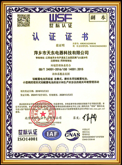 WSF-Certification--9