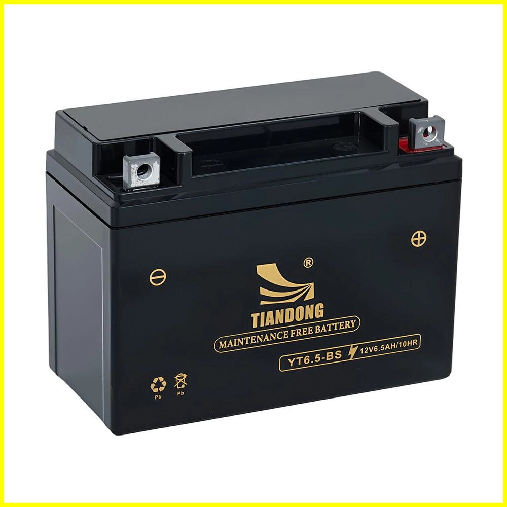 YT6.5-BS-2-new - TIANDONG