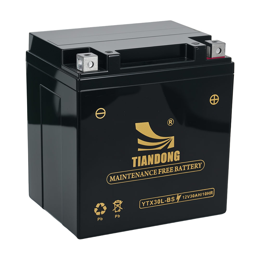 YTX30L-BS-2-new YTX30L-BS-2-new