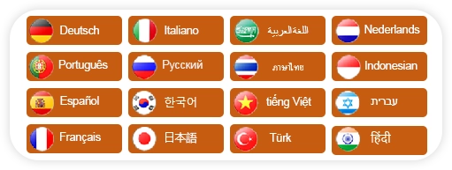 Customize Language All Languages Are Available