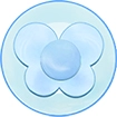 NewFuns - FlowerType17