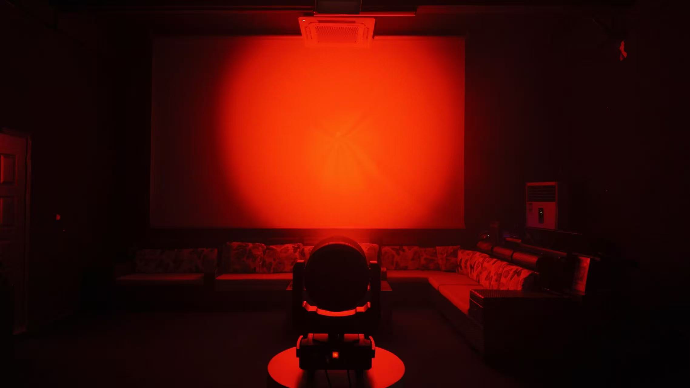 bee eye moving head