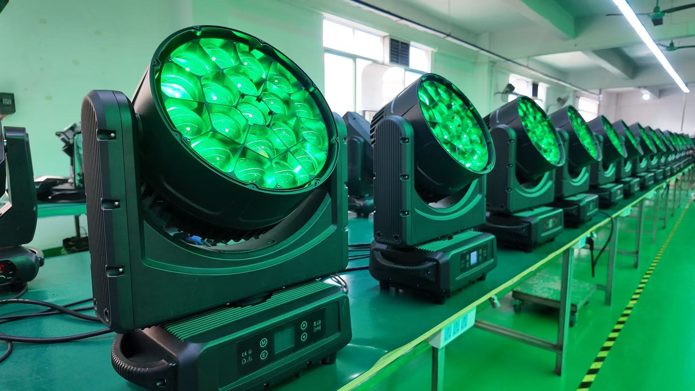 bee eye moving head