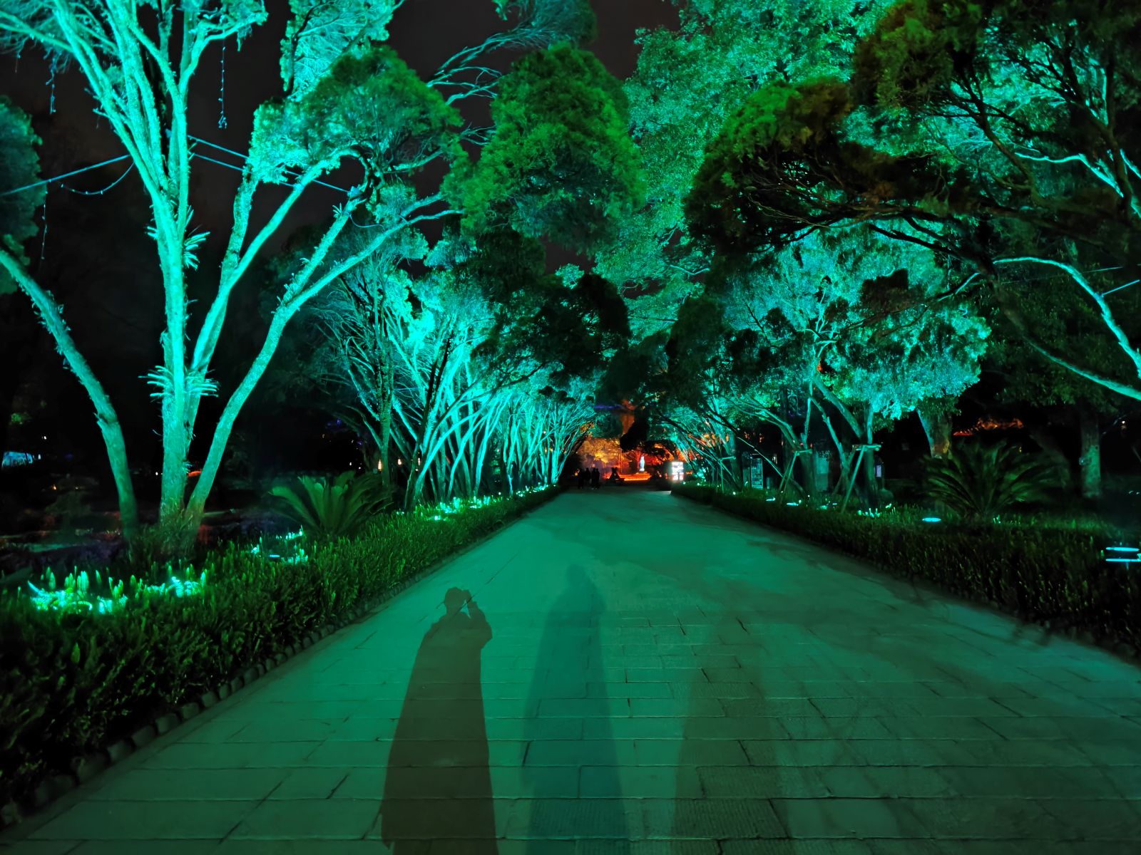 IP rated moving head lights